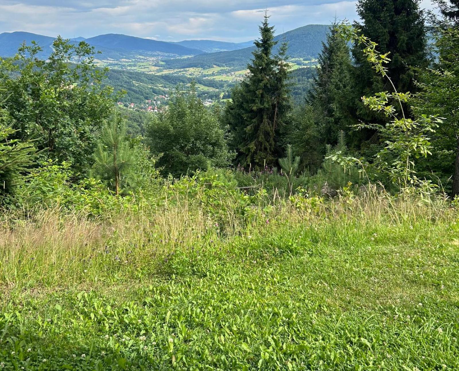 Gosciniec Pod Lubomirem Bed & Breakfast Weglowka  Екстериор снимка